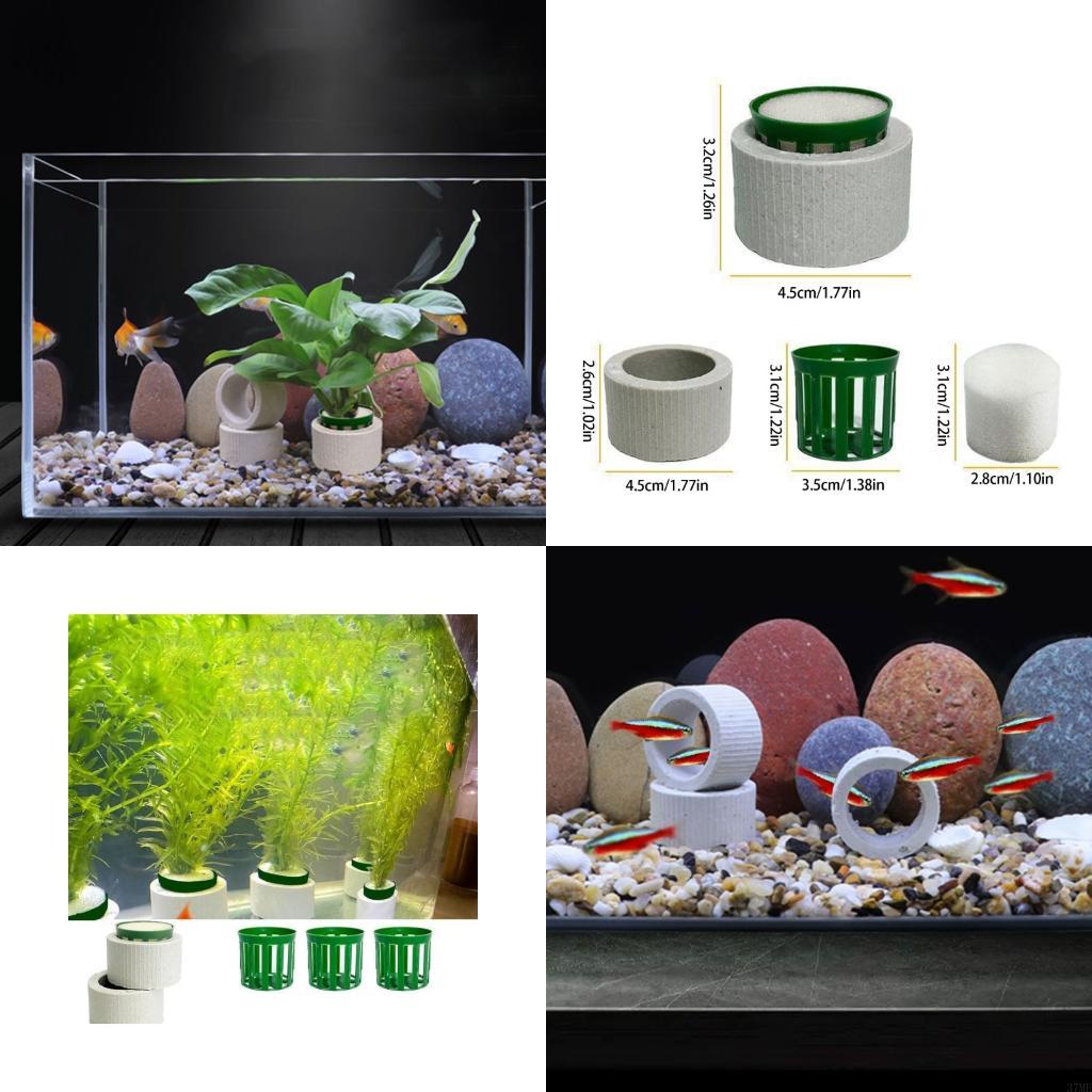Aquarium Plant Holder - 37ME 10 Chiếc Bể Cá Vật
