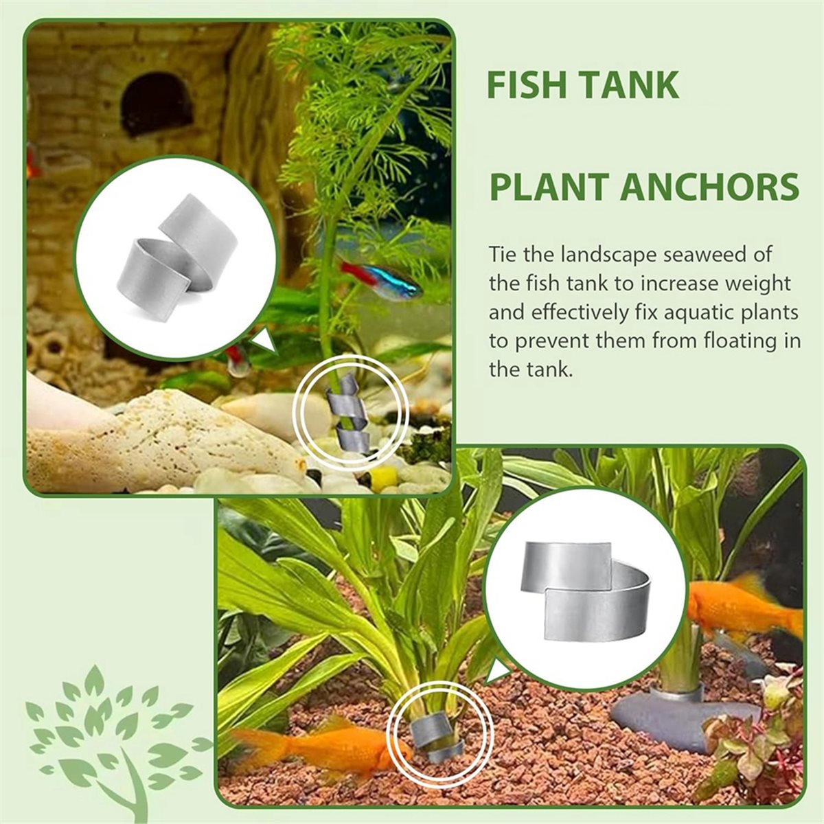 Live Plant Aquarium - Time Saving Aquarium Plant Weights for