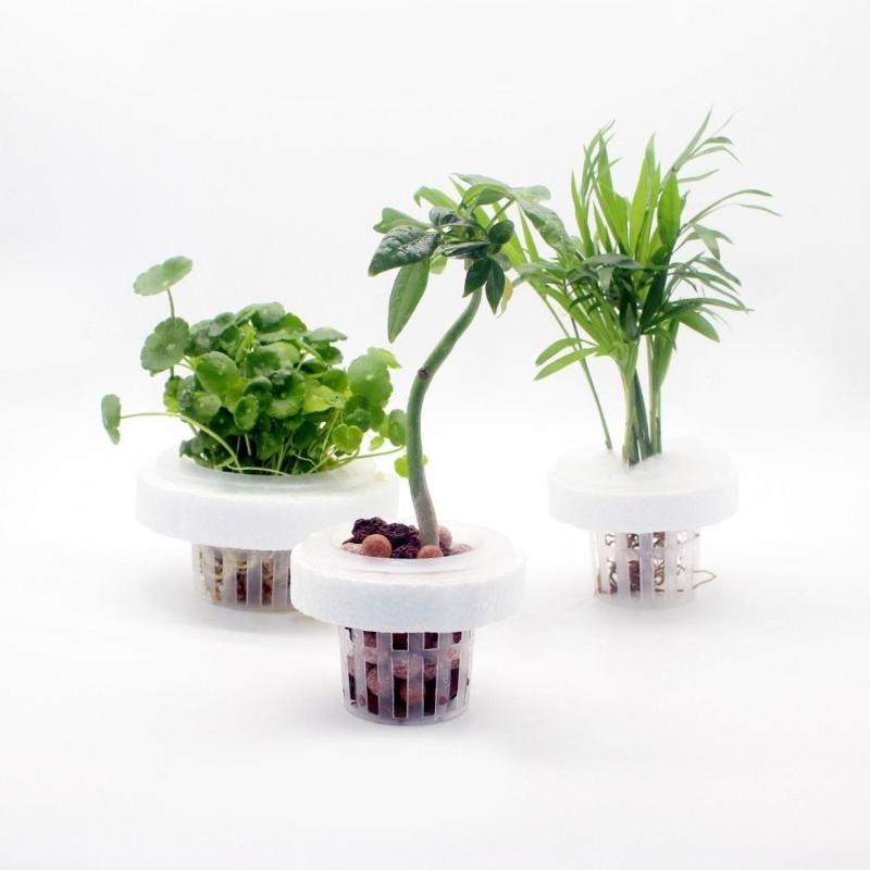 Plant Aquarium Pot - Floating Aquatic Plant Basket Hydroponic Plant