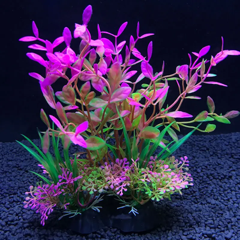 Live Plant Aquarium - Hồ Cá Nhân Tạo Trang Trí