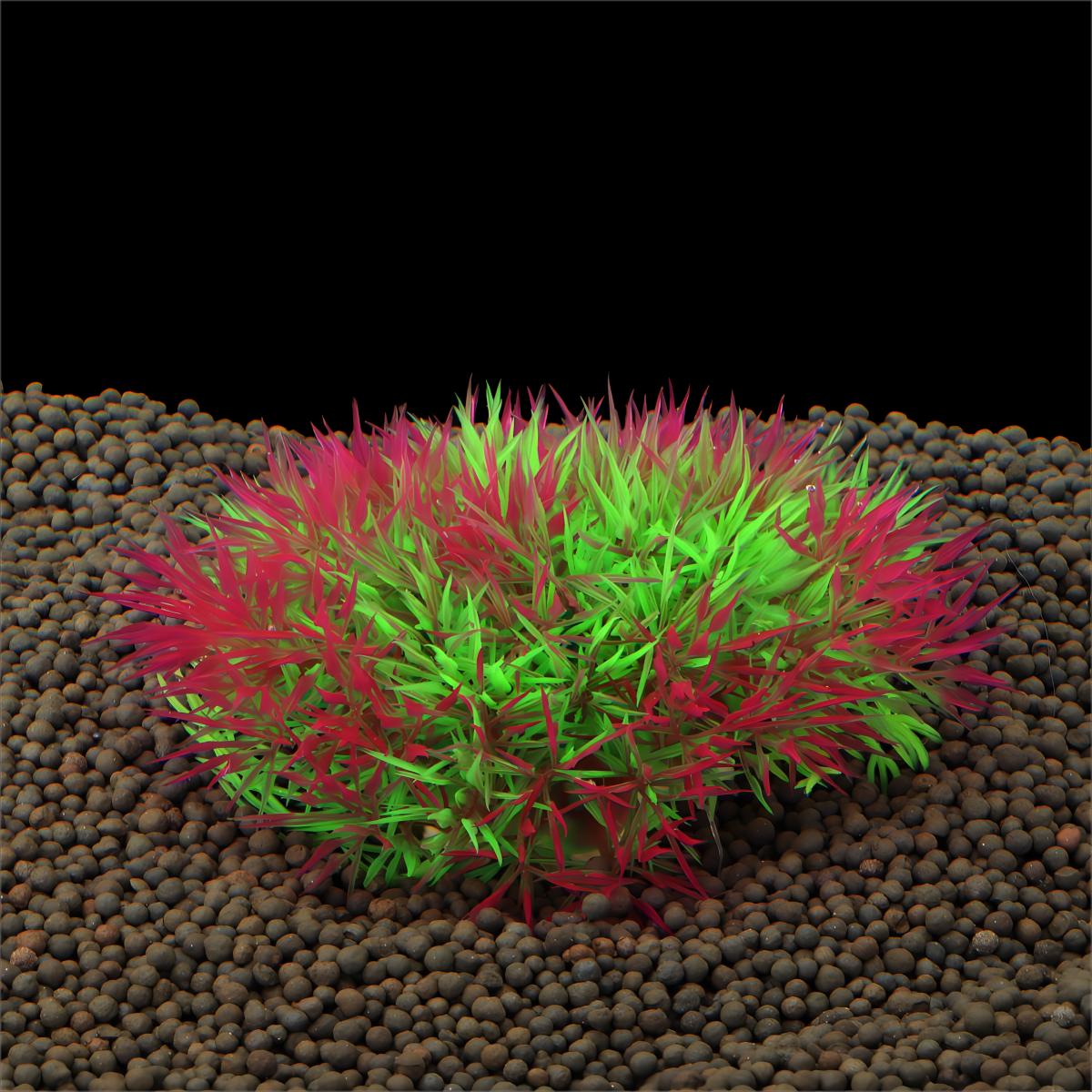 Artificial Water Grass Aquariu - đánh giá và giá Aquarium Plants Live