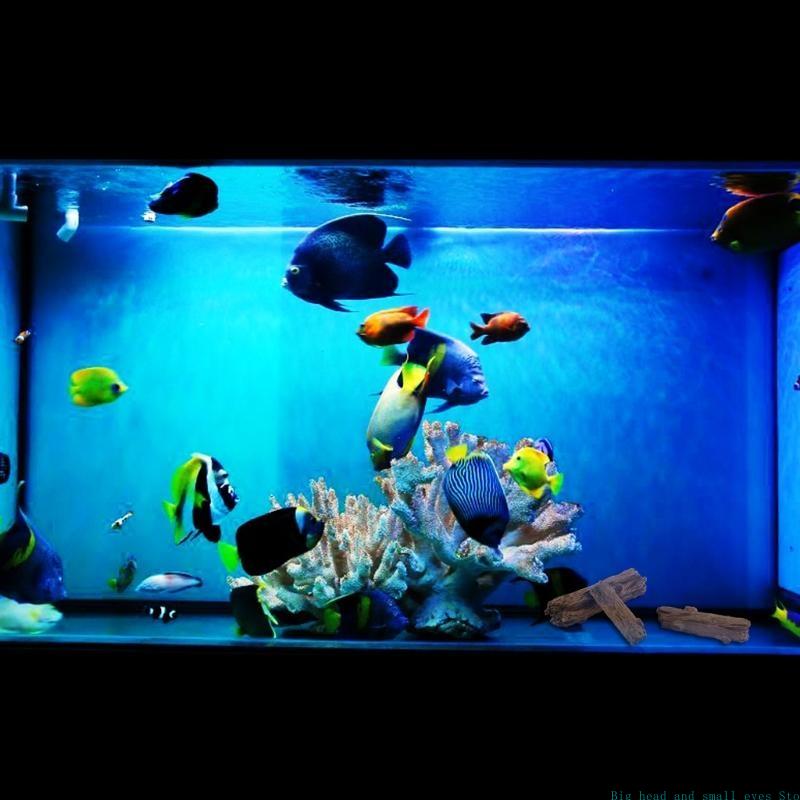 581C Stump Aquarium Trang trí  - đánh giá và giá Aquarium Plant Substrate