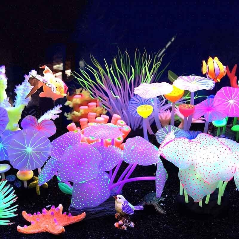 50/75/100CM Linh Hoạt Hải Quỳ  - đánh giá và giá Aquarium Plants Live
