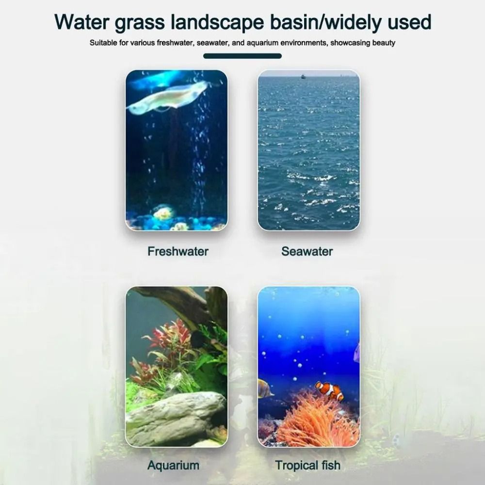 10Pcs Transparent Plant Hydrop - đánh giá và giá Aquarium Plant Holder