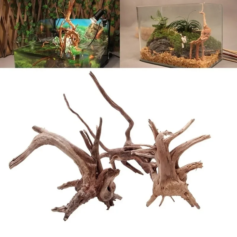 Natural Tree Trunk Driftwood A - đánh giá và giá Aquarium Plants Live