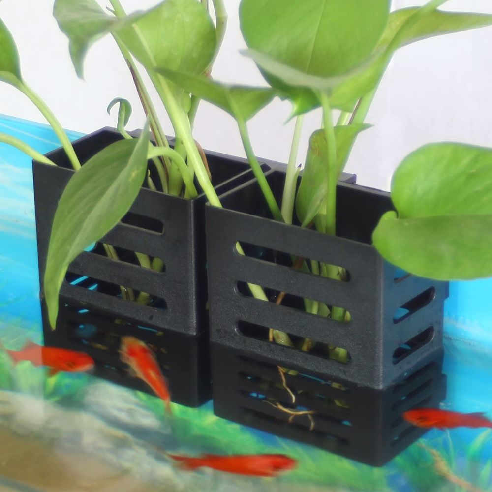 Aquarium Fish Tank Plant Holde - đánh giá và giá Aquarium Plant Holder