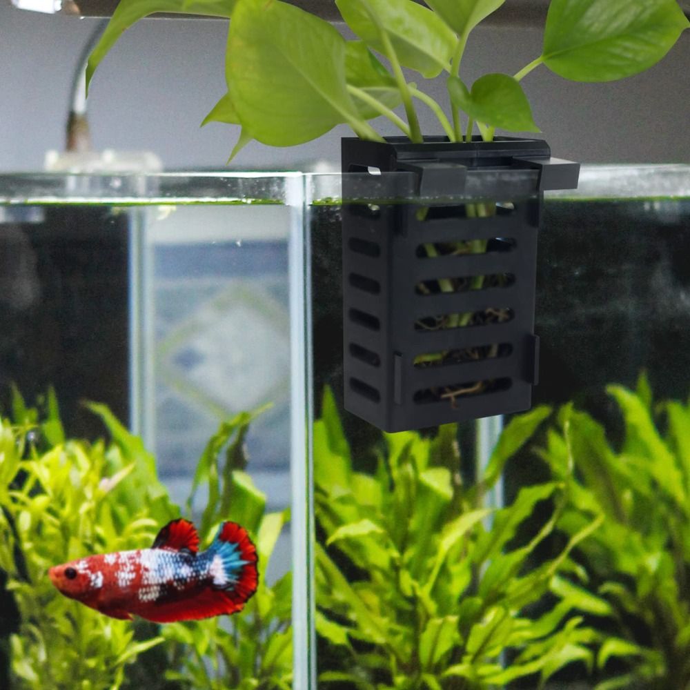 Aquarium Fish Tank Plant Holde - đánh giá và giá Aquarium Plant Holder