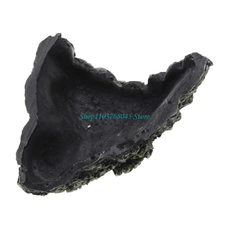 R53F Bể Cá Cảnh Hang Đá Trang  - đánh giá và giá Aquarium Driftwood