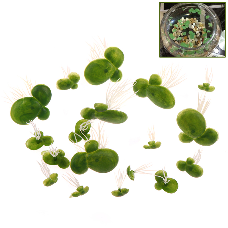 18pcs/set Aquarium Fish Tank D - đánh giá và giá Aquarium Plants Live