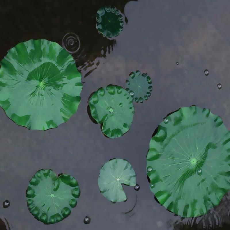 2026 Artificial Water Lily Lot - đánh giá và giá Aquarium Plant Substrate