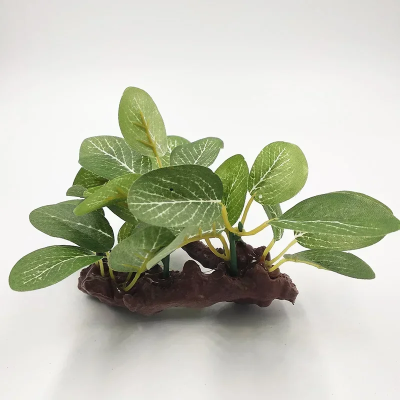 Nhựa mới Bể Cá Cảnh Vật Có Hoa - đánh giá và giá Aquarium Plants Live