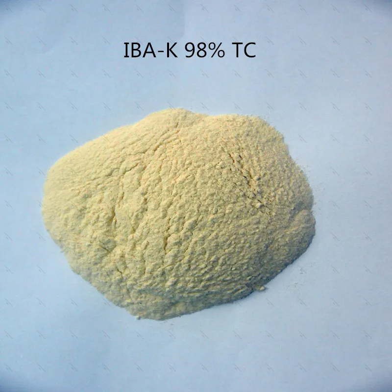10Gram-1KG 98% IBA-K Water Sol - đánh giá và giá Aquarium Fertilizer