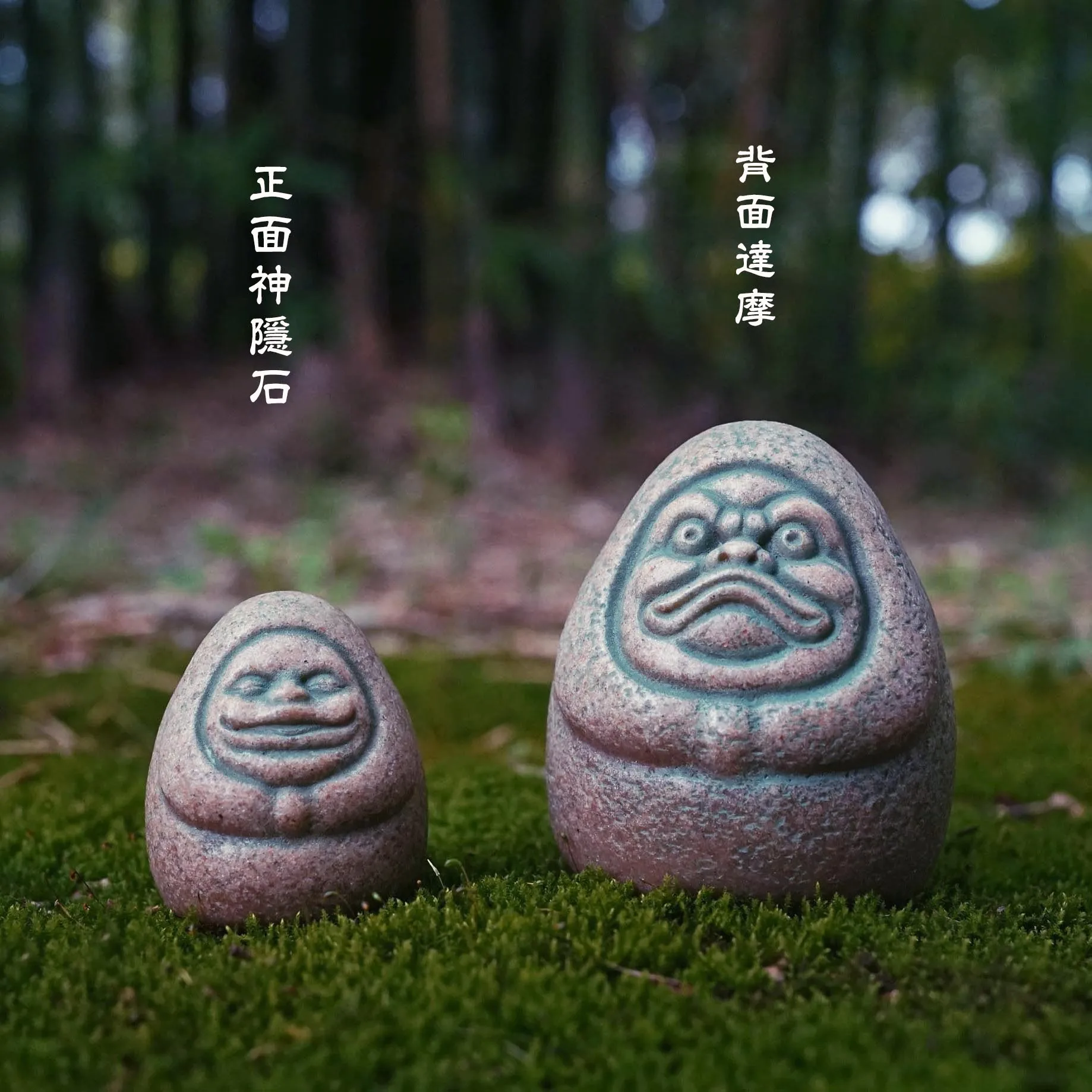 Kaminishi Hide Dharma Anime Sc - đánh giá và giá Aquarium Moss
