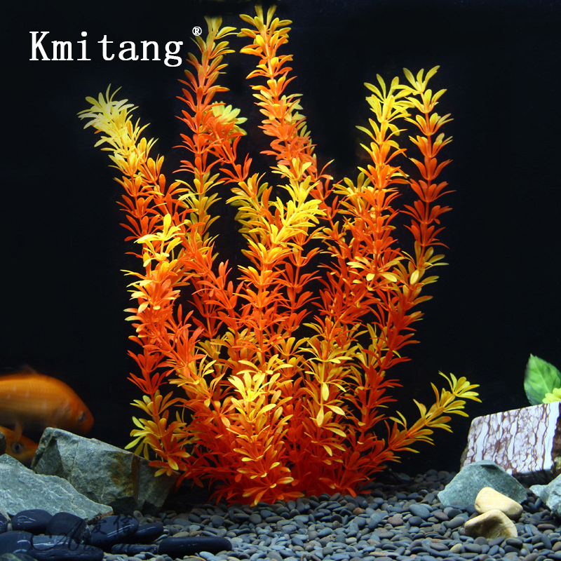 100Cm Thực Vật Nhiệt Đới Lớn N - đánh giá và giá Aquarium Moss