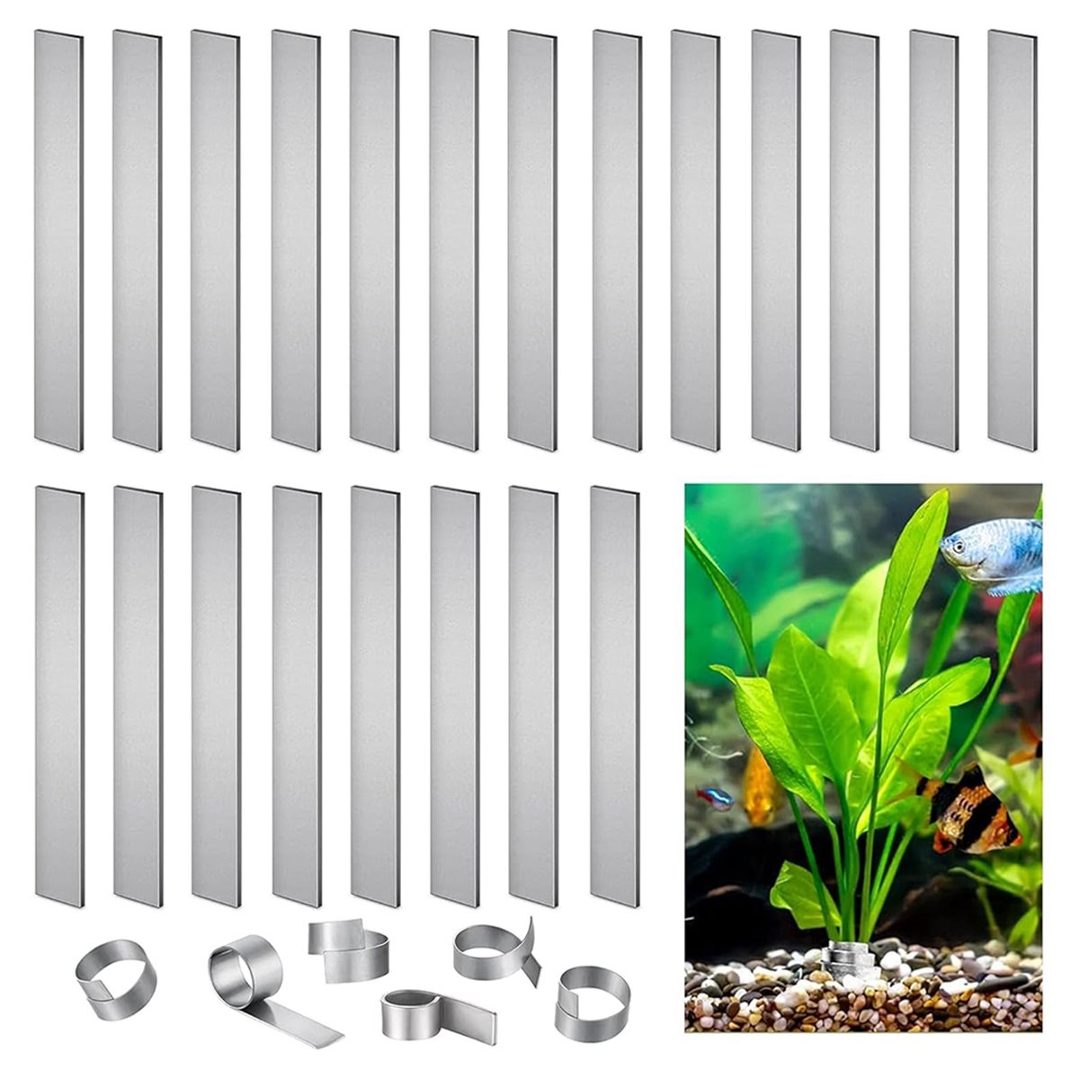 Time Saving Aquarium Plant Wei - đánh giá và giá Live Plant Aquarium