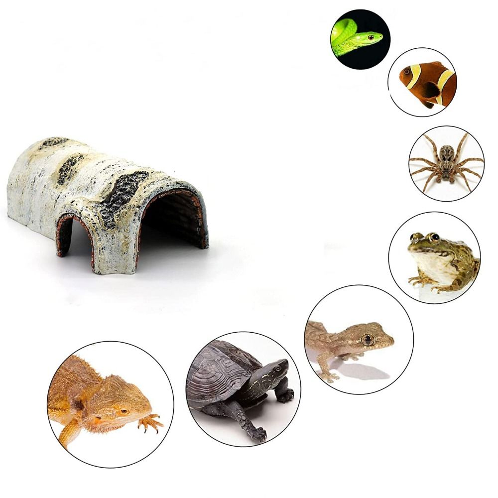 Artificial Creative Lifelike f - đánh giá và giá Aquarium Plant Holder