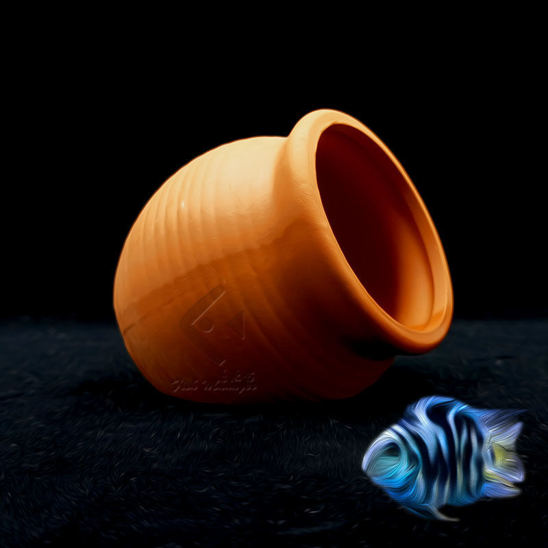 Bể Cá Cảnh Mini Gốm Bể Cá Tôm  - đánh giá và giá Aquarium Plant Holder
