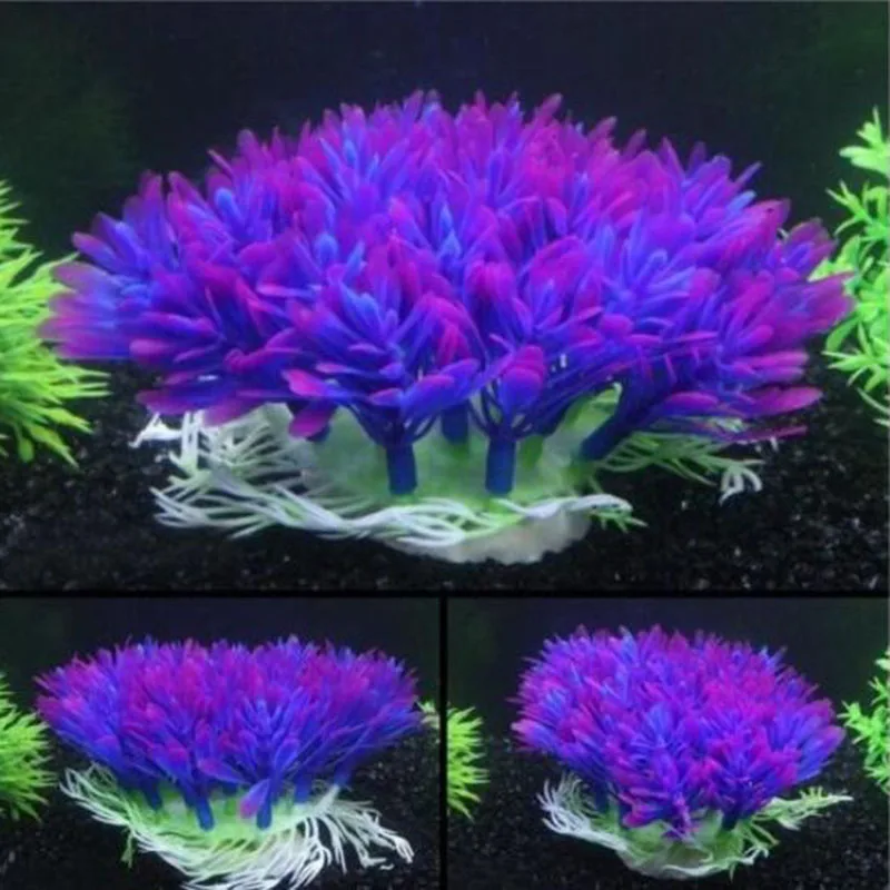 Artificial Wide Short Fish Tan - đánh giá và giá Aquarium Plants Live