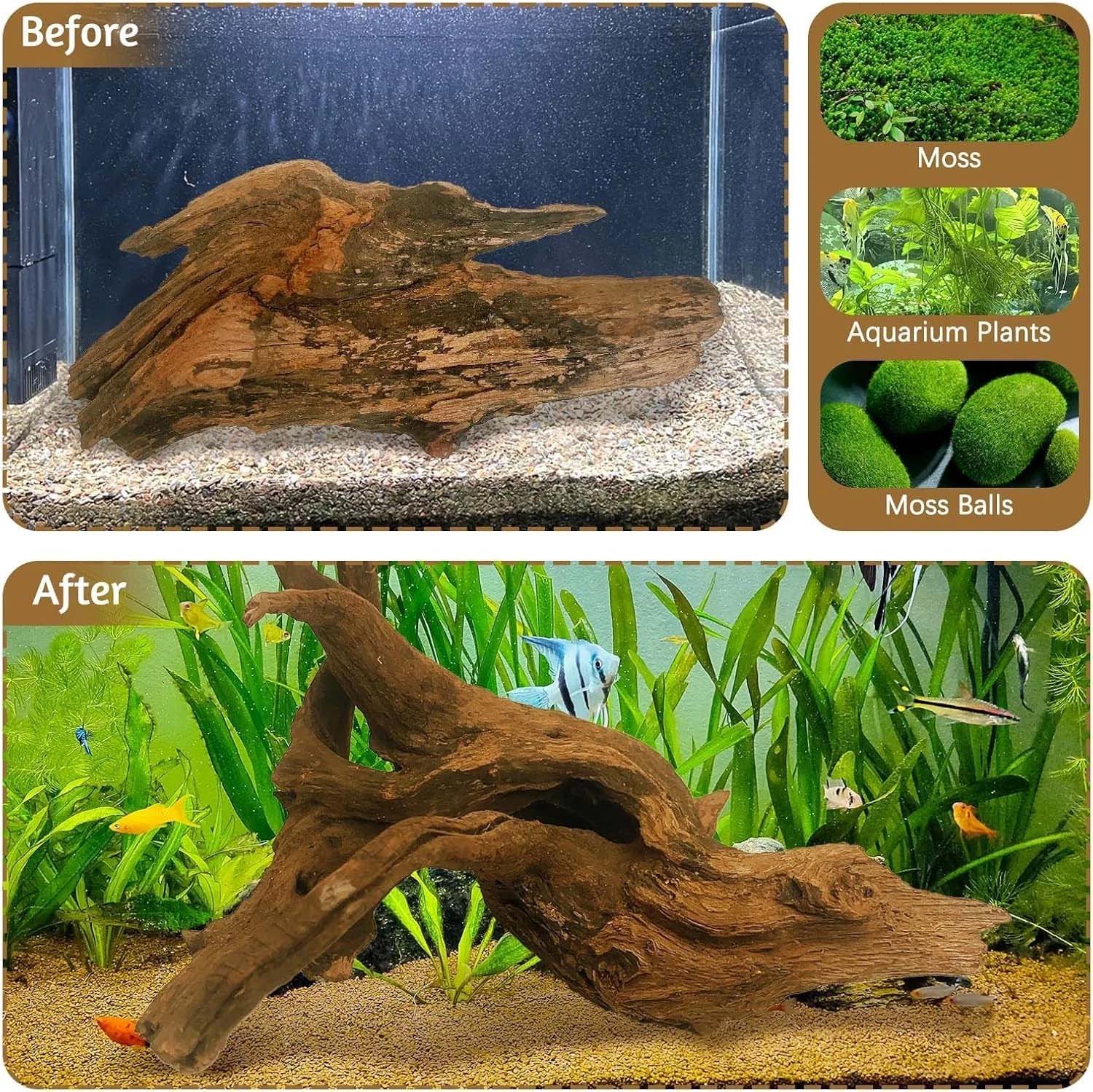 15-20CM 1Pc Natural Driftwood  - đánh giá và giá Aquarium Plants Live