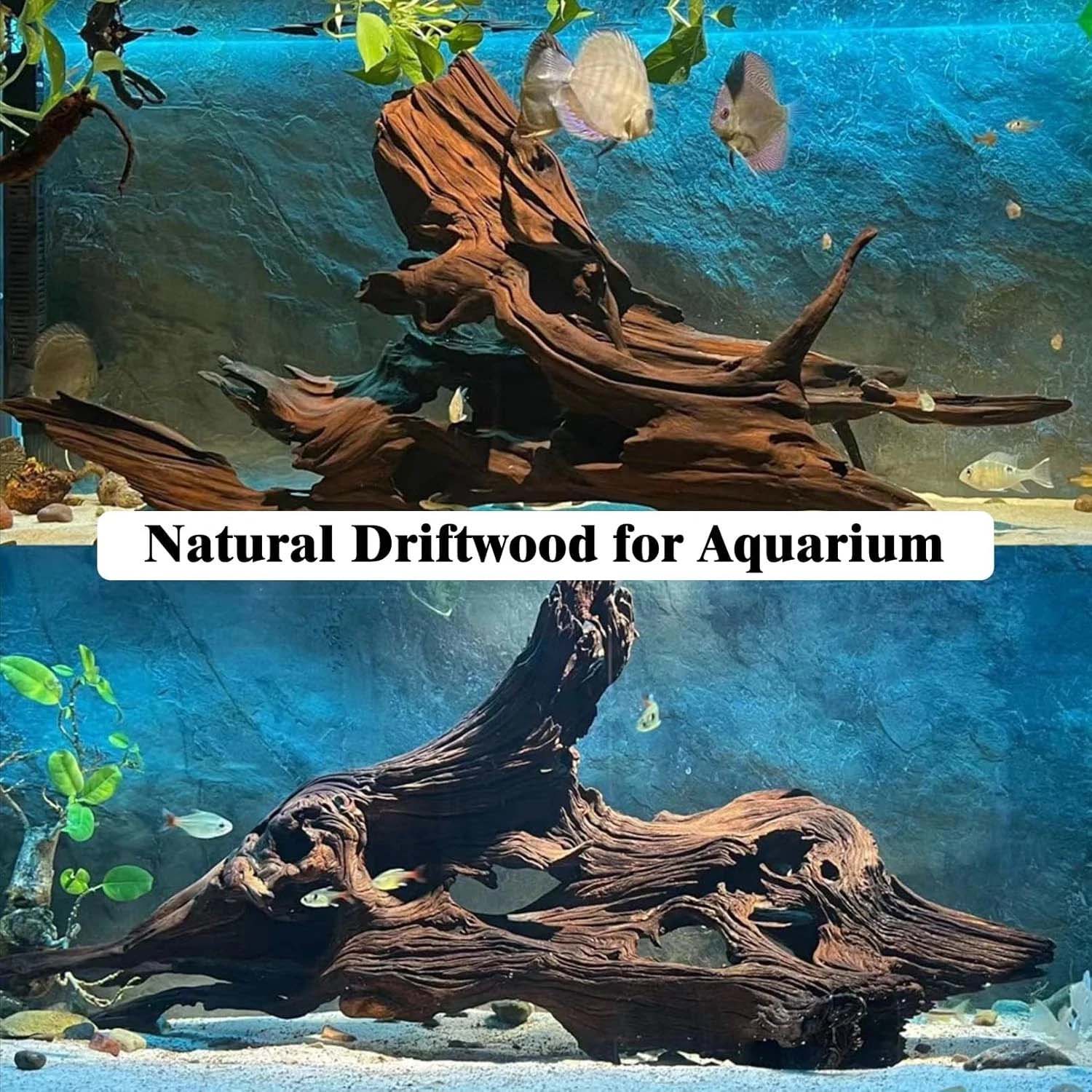 15-20CM 1Pc Natural Driftwood  - đánh giá và giá Aquarium Plants Live