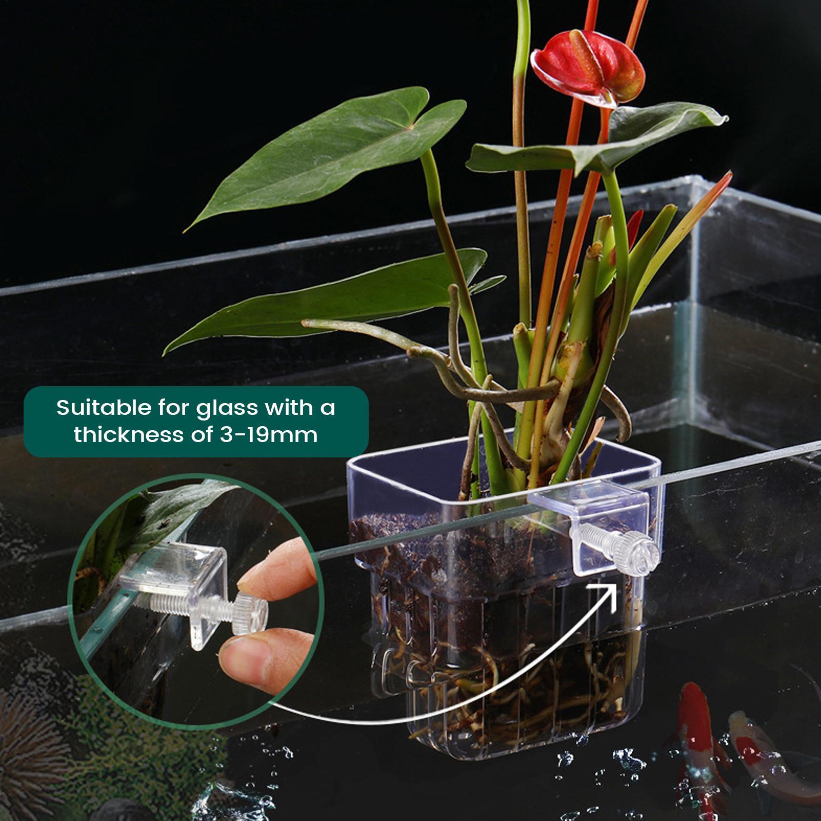 Aquarium Plant Holder Transpar - đánh giá và giá Aquarium Plant Holder