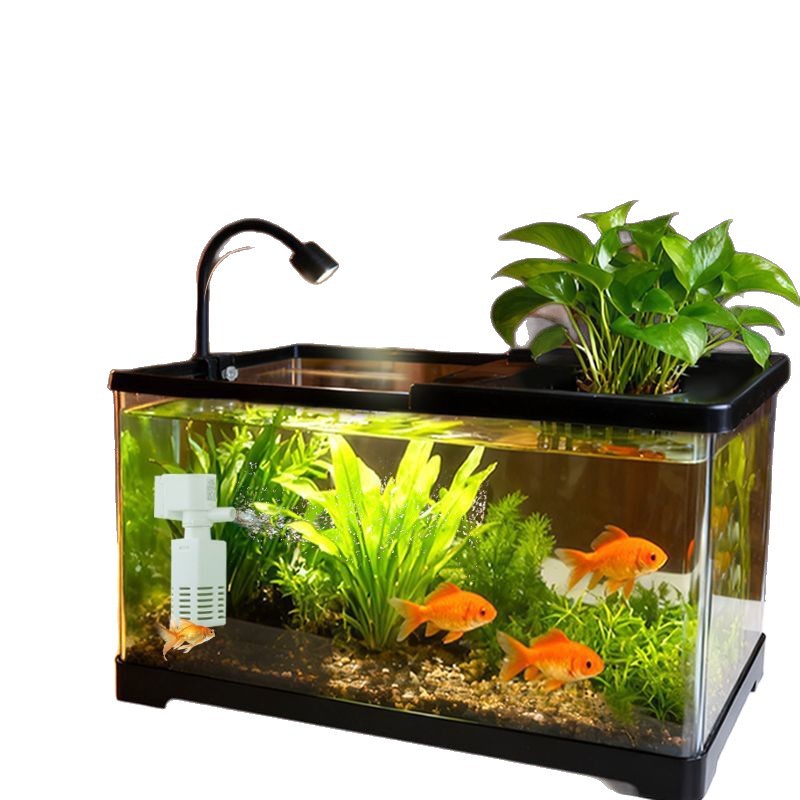 Fish tank living room with aqu - đánh giá và giá Aquarium Plants Live
