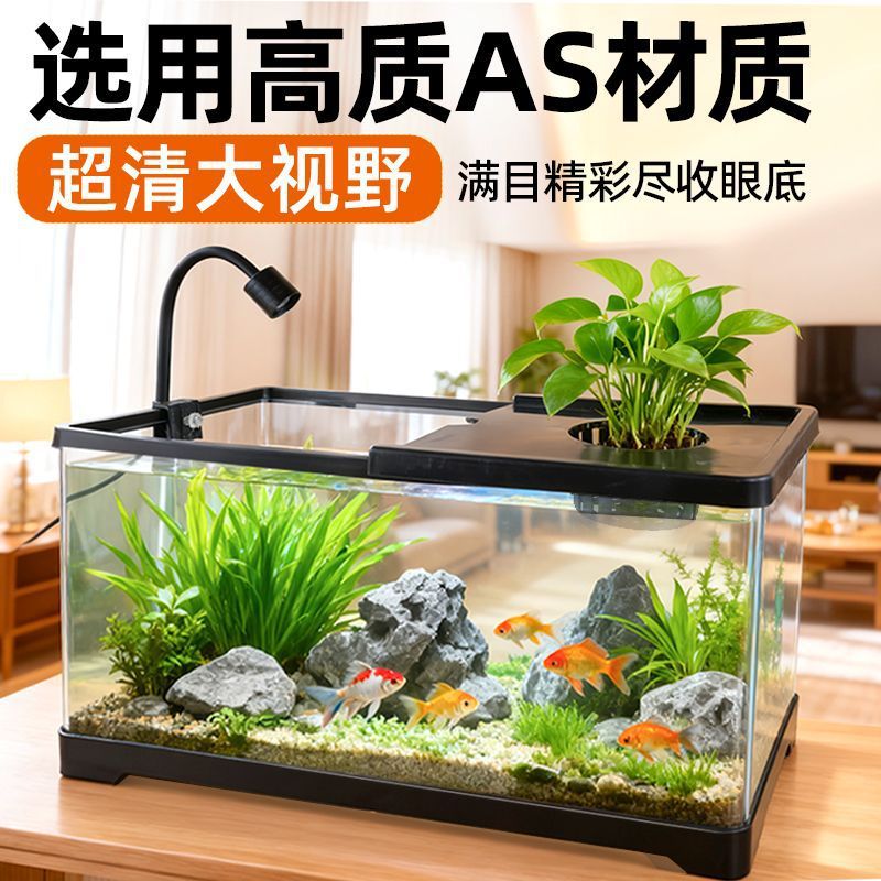 Fish tank living room with aqu - đánh giá và giá Aquarium Plants Live