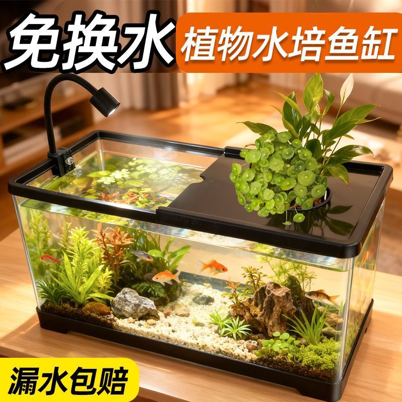 Fish tank living room with aqu - đánh giá và giá Aquarium Plants Live