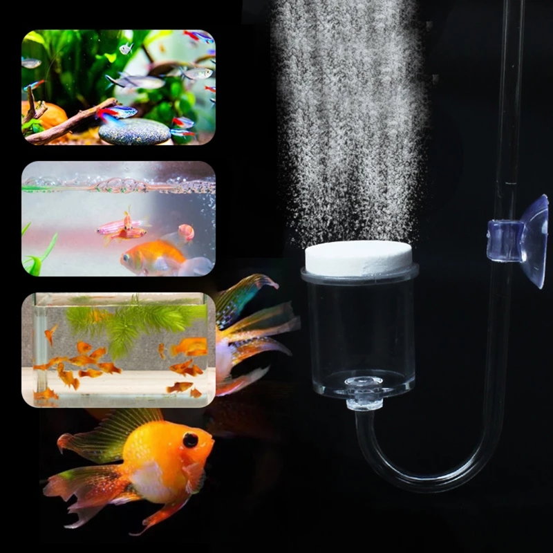 4pcs Set DIY CO2 Diffuser For  - đánh giá và giá Aquarium Plants Live